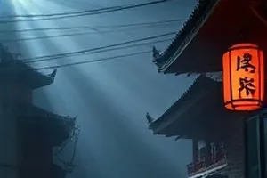 《白鹭湾纪事》封面，水湾与停留的白鹭
